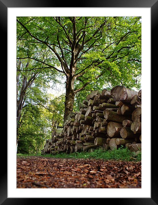 Logs in Wood Framed Mounted Print by Keith Thorburn EFIAP/b