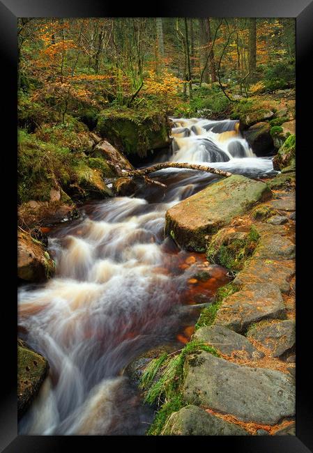 Wyming Brook in Autumn                        Framed Print by Darren Galpin