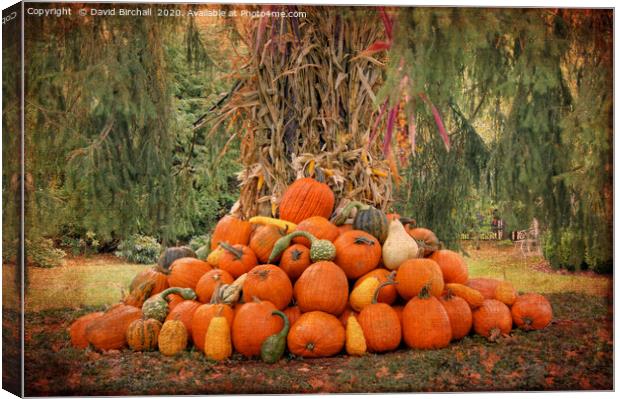 New England pumpkin display. Canvas Print by David Birchall