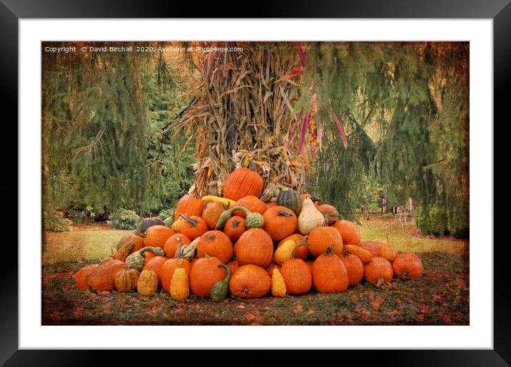 New England pumpkin display. Framed Mounted Print by David Birchall