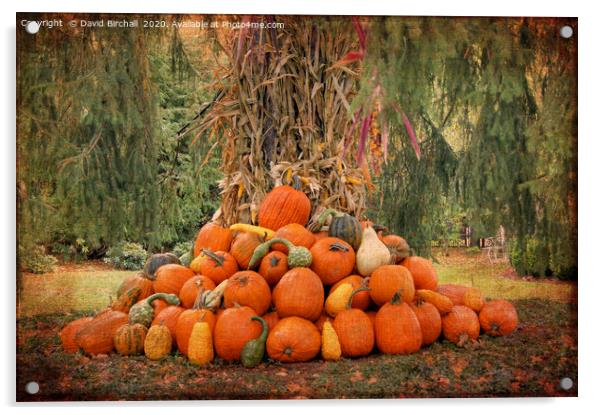 New England pumpkin display. Acrylic by David Birchall