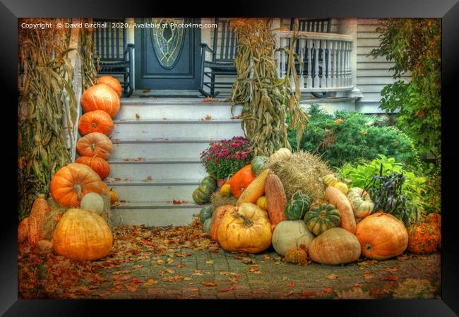 Pumpkins on the porch in Maine, New England. Framed Print by David Birchall