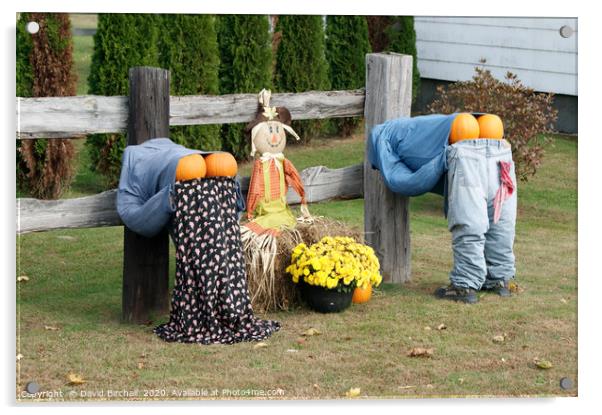 Bottoms up, humorous pumpkin display. Acrylic by David Birchall