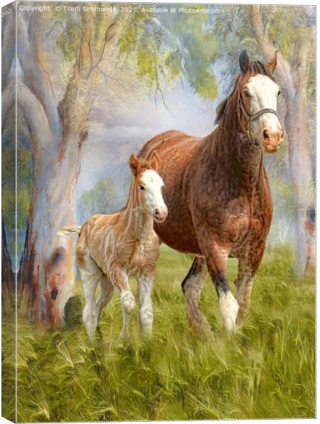 Clydesdale Mare and Foal Canvas Print by Trudi Simmonds
