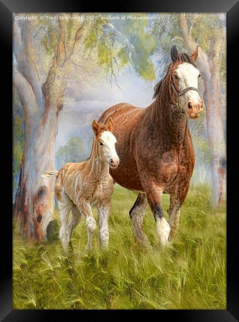 Clydesdale Mare and Foal Framed Print by Trudi Simmonds