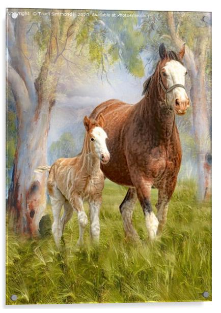 Clydesdale Mare and Foal Acrylic by Trudi Simmonds