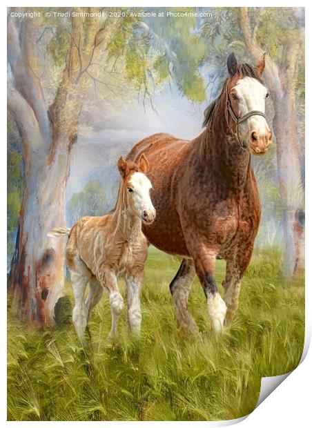 Clydesdale Mare and Foal Print by Trudi Simmonds