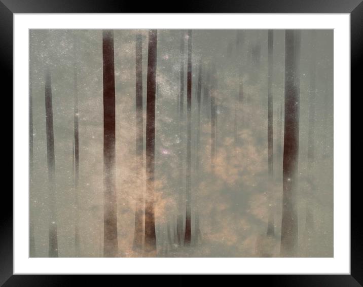 Enchanting Silver Birch Woods Framed Mounted Print by Beryl Curran