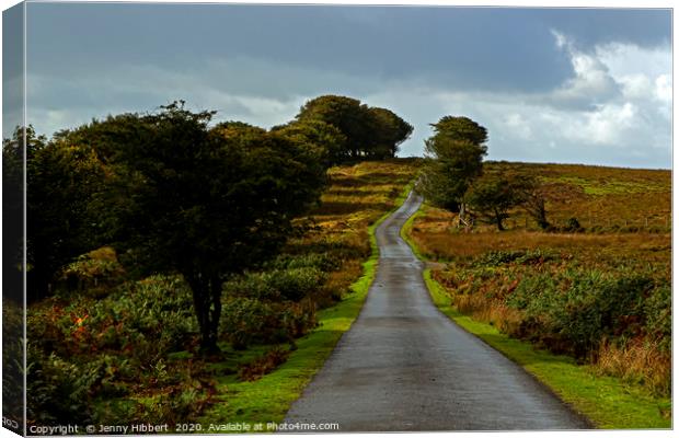After the rain on long road Exmoor Canvas Print by Jenny Hibbert