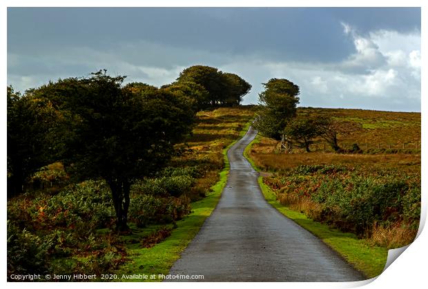 After the rain on long road Exmoor Print by Jenny Hibbert