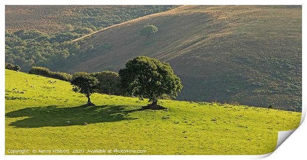 Trees in field Exmoor Somerset Print by Jenny Hibbert