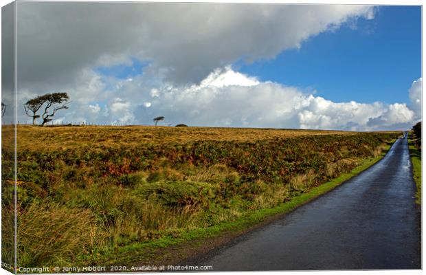 The long long road after the rain in Exmoor Canvas Print by Jenny Hibbert