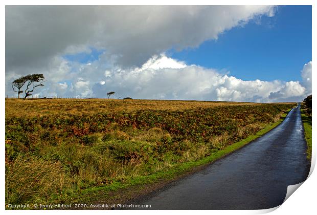 The long long road after the rain in Exmoor Print by Jenny Hibbert