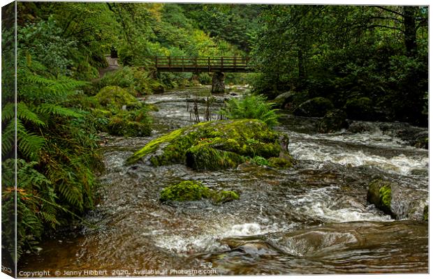 View of river Lyn in Lynmouth Somerset Canvas Print by Jenny Hibbert