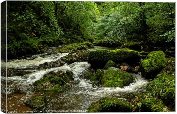 Rocks in river Lyn Lynmouth Somerset Canvas Print by Jenny Hibbert
