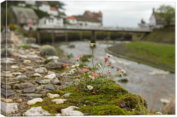 Flowers on the wall with Lynmouth harbour  Canvas Print by Jenny Hibbert