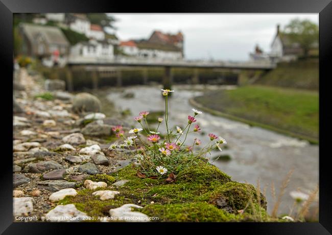 Flowers on the wall with Lynmouth harbour  Framed Print by Jenny Hibbert