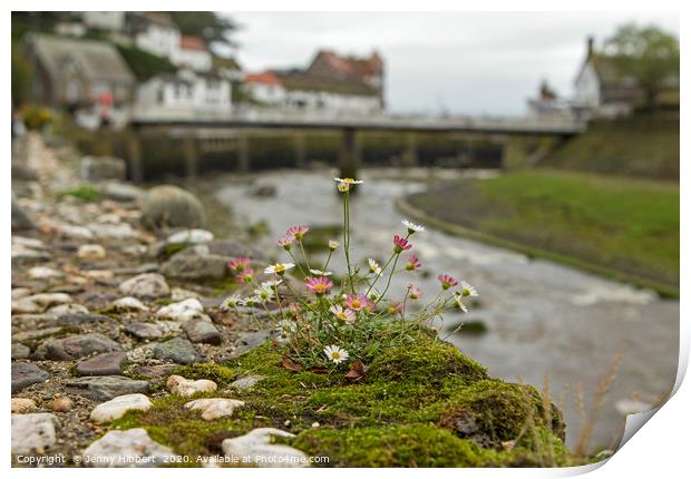 Flowers on the wall with Lynmouth harbour  Print by Jenny Hibbert