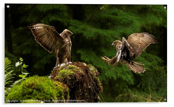 Battling Buzzards Acrylic by Karen Crawford