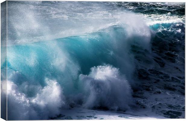 Blue Rolling Wave Canvas Print by Anne Macdonald
