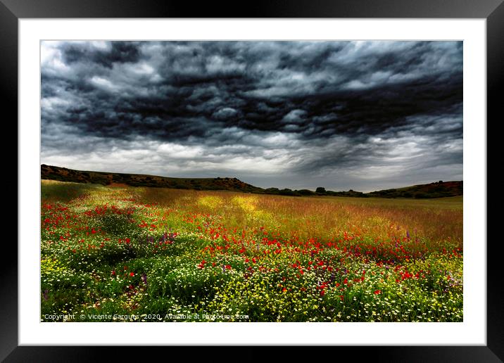 Colorful fields 2 Framed Mounted Print by Vicente Sargues