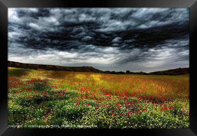 Colorful fields 2 Framed Print by Vicente Sargues