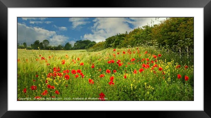 "Poppies in the mirror" Framed Mounted Print by ROS RIDLEY