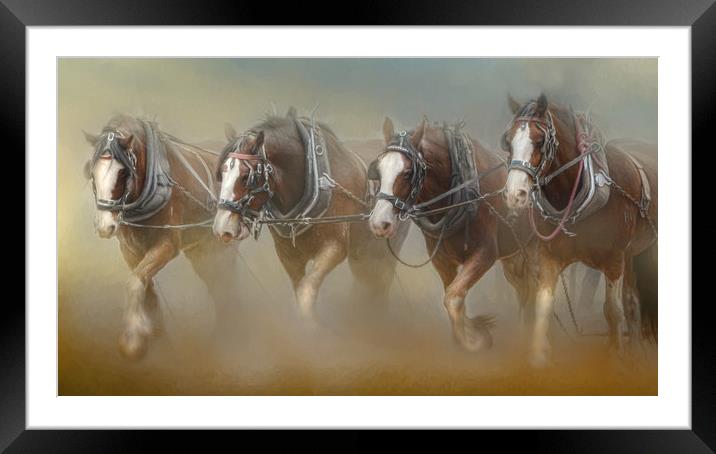 Four in the Field Framed Mounted Print by Trudi Simmonds