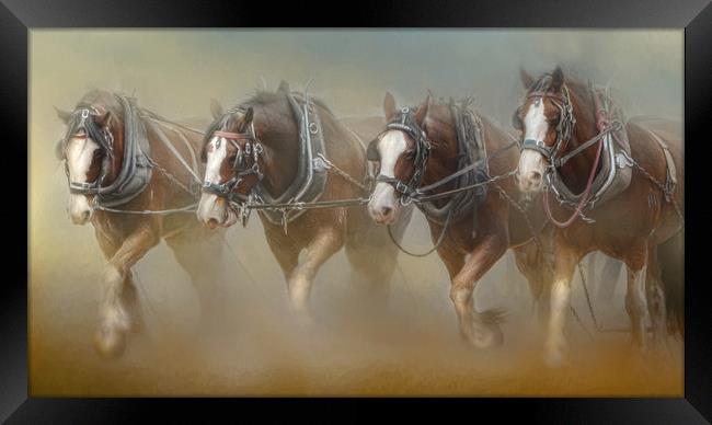 Four in the Field Framed Print by Trudi Simmonds