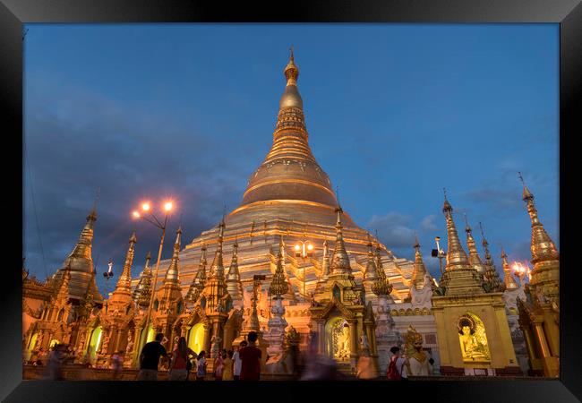 Shwedagon Pagoda Framed Print by peter schickert