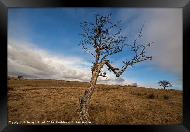 Trees on top of Ystradfellte in the Brecon beacons Framed Print by Jenny Hibbert