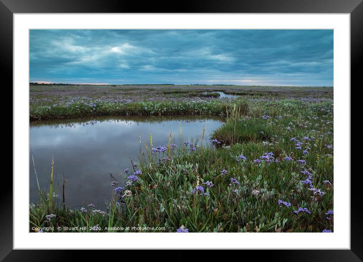 Wild flower display on the salt marsh Framed Mounted Print by Stuart Hill