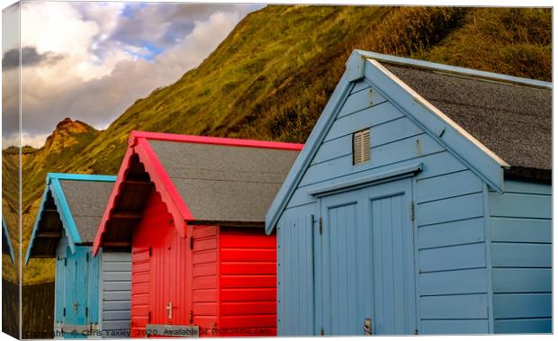 North Norfolk beach huts in Sheringham Canvas Print by Chris Yaxley