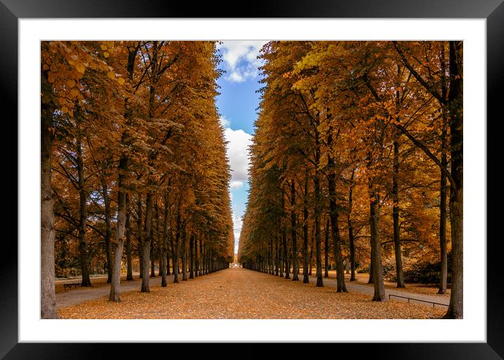 The French Gardens Framed Mounted Print by DiFigiano Photography