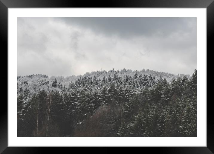 Frozen Forest - Zwyec Winter #6 Framed Mounted Print by Henry Clayton