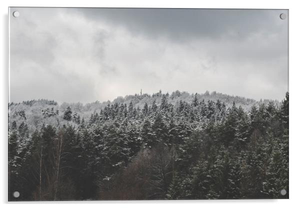 Frozen Forest - Zwyec Winter #6 Acrylic by Henry Clayton