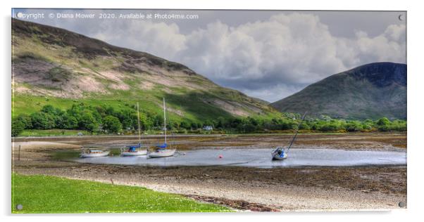 Lochranza Isle of Arran Acrylic by Diana Mower