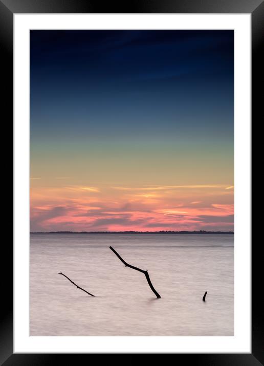 Lohme Driftwood Framed Mounted Print by DiFigiano Photography