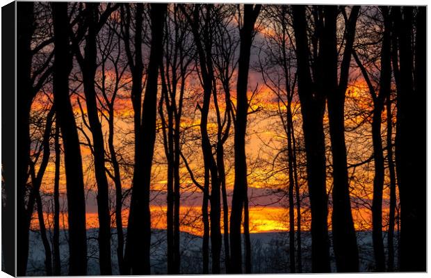 Sunset behind a silhouette of trees Canvas Print by Arpad Radoczy
