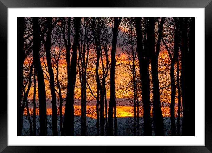 Sunset behind a silhouette of trees Framed Mounted Print by Arpad Radoczy