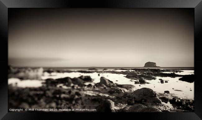 Bass Rock No. 3 Framed Print by Phill Thornton