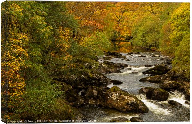River near to Capel Curig at autumn time Canvas Print by Jenny Hibbert