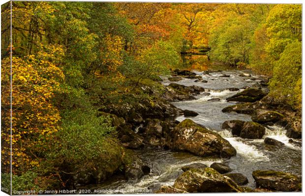 Autumnal view of river near to Capel Curig North W Canvas Print by Jenny Hibbert