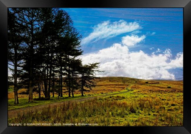 "Breezy day at the moors" Framed Print by ROS RIDLEY