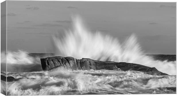 Big waves in black and white Canvas Print by Arpad Radoczy