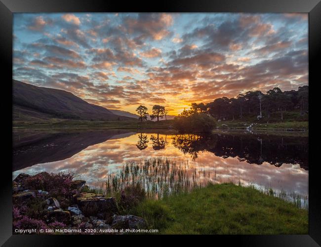 Glen Cannich Sunrise Framed Print by Iain MacDiarmid