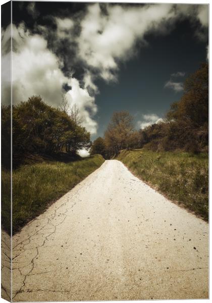 Nice road on the forest Canvas Print by Arpad Radoczy