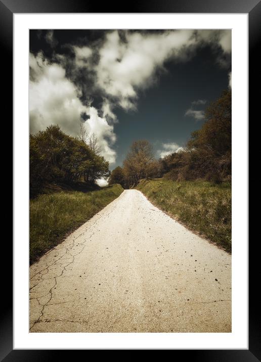 Nice road on the forest Framed Mounted Print by Arpad Radoczy