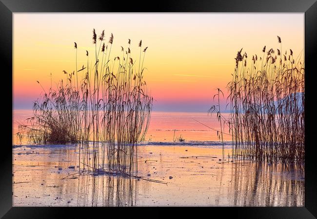 Winter sunset over the lake Framed Print by Arpad Radoczy