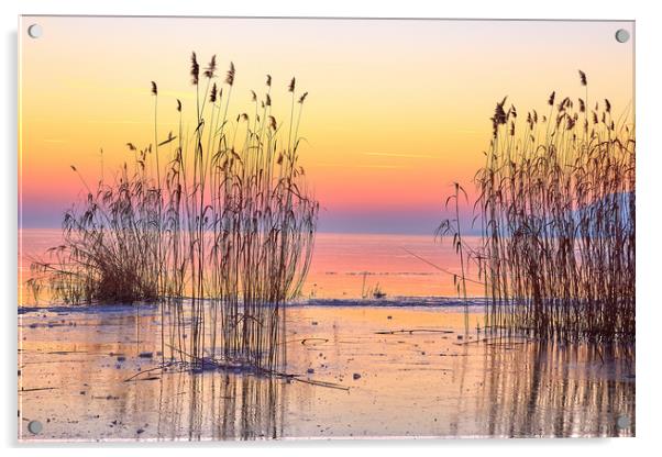 Winter sunset over the lake Acrylic by Arpad Radoczy